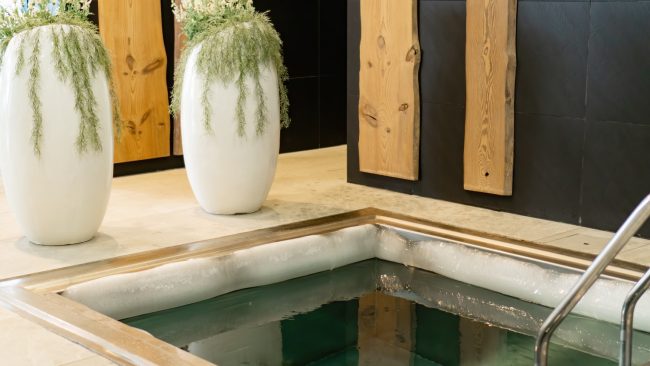 Benefits of cold plunge pools Benefits of cold plunge pools